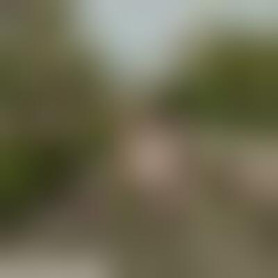 Profilbild einer 31 Jahre alten Frau, Single, 167 cm